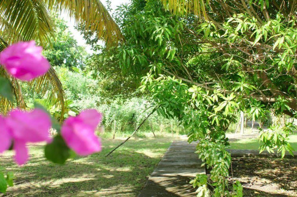 Au Jardin De Beausejour Ξενοδοχείο Capesterre Εξωτερικό φωτογραφία